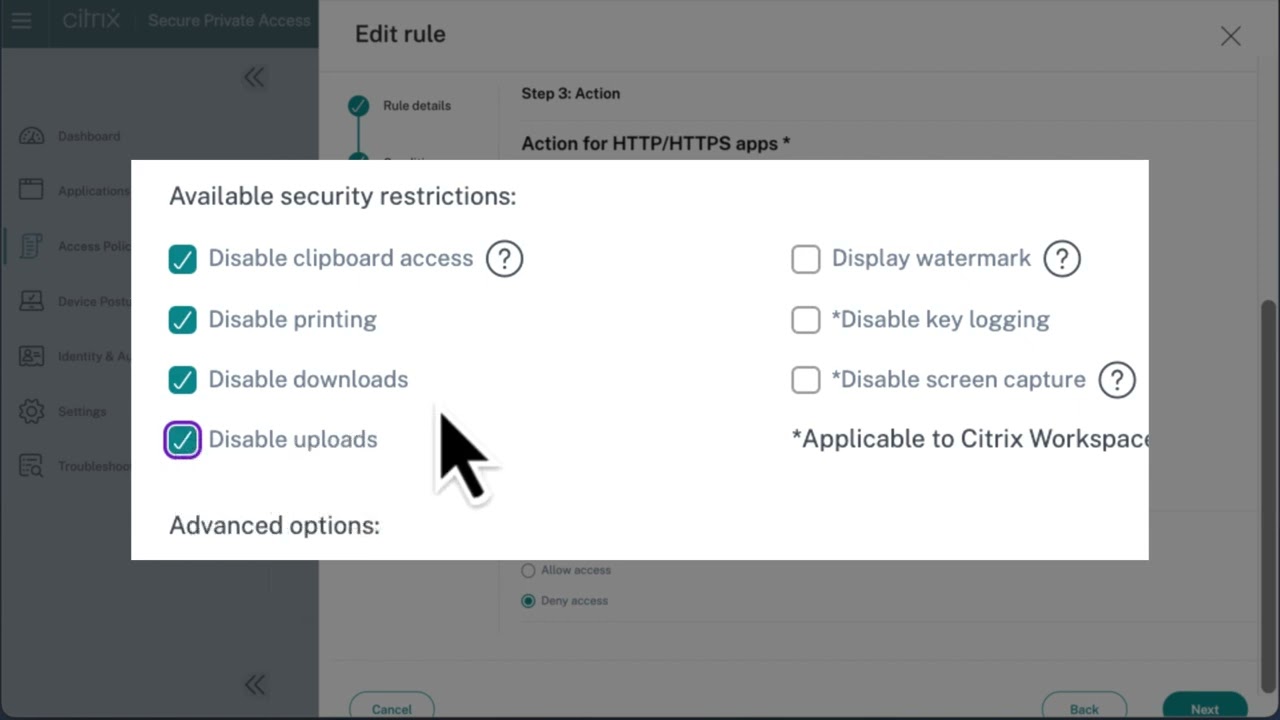 Citrix SPA adaptive access policies